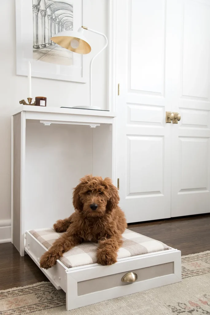 Built in dog bed ideas hotsell